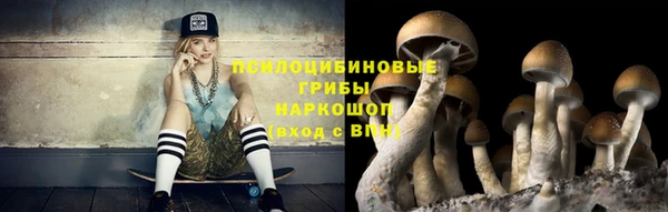 прущий лед Аркадак