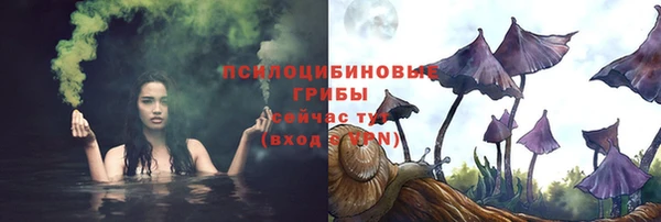 прущий лед Аркадак