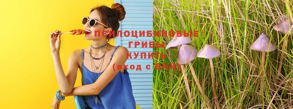 не бодяженный Арсеньев