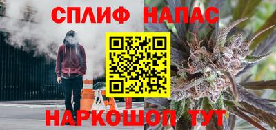 Альфа ПВП Камышлов