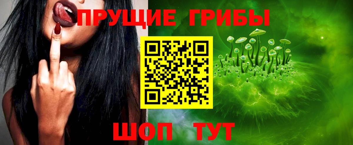 Галлюциногенные грибы мухоморы  Псилоцибиновые грибы Psilocybe  Можга  Вход с VPN 
